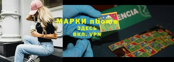 гашик Алексин