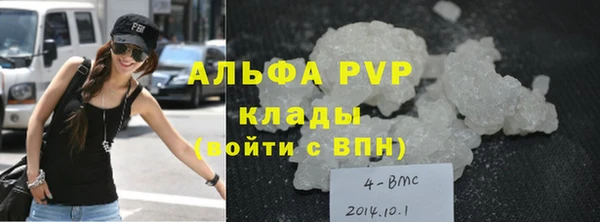 гашик Алексин