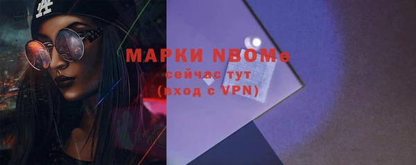 гашик Алексин