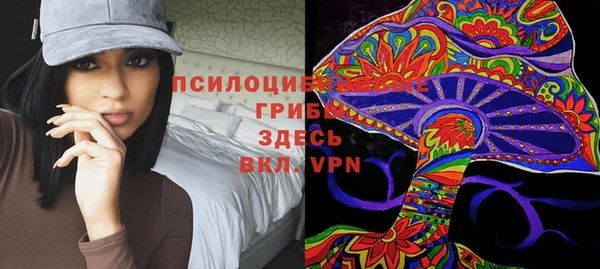 таблы Алзамай