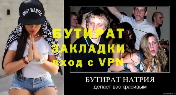 гашик Алексин