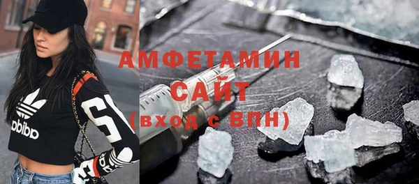 гашик Алексин