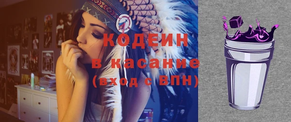 гашик Алексин