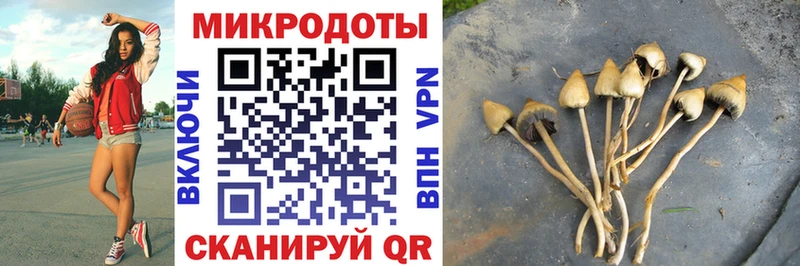 закладки  Западная Двина  Галлюциногенные грибы ЛСД 