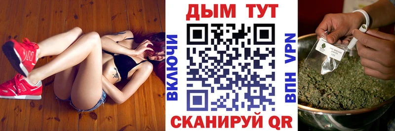 площадка Telegram Западная Двина Канабис индика